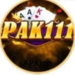 PAK111 Game