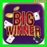 BIG WINNER APK